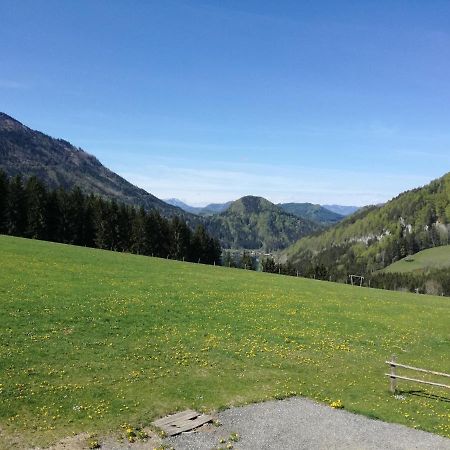 Bio Bauernhof Moas Villa Lunz am See Kültér fotó