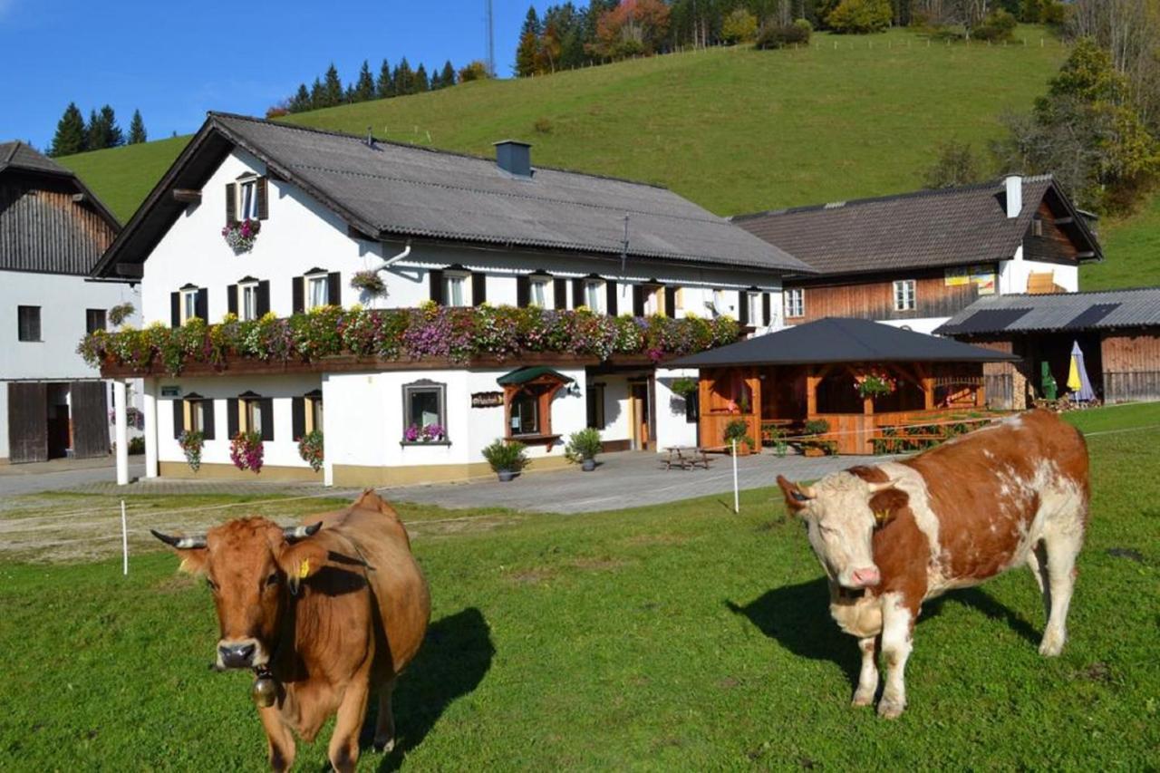 Bio Bauernhof Moas Villa Lunz am See Kültér fotó