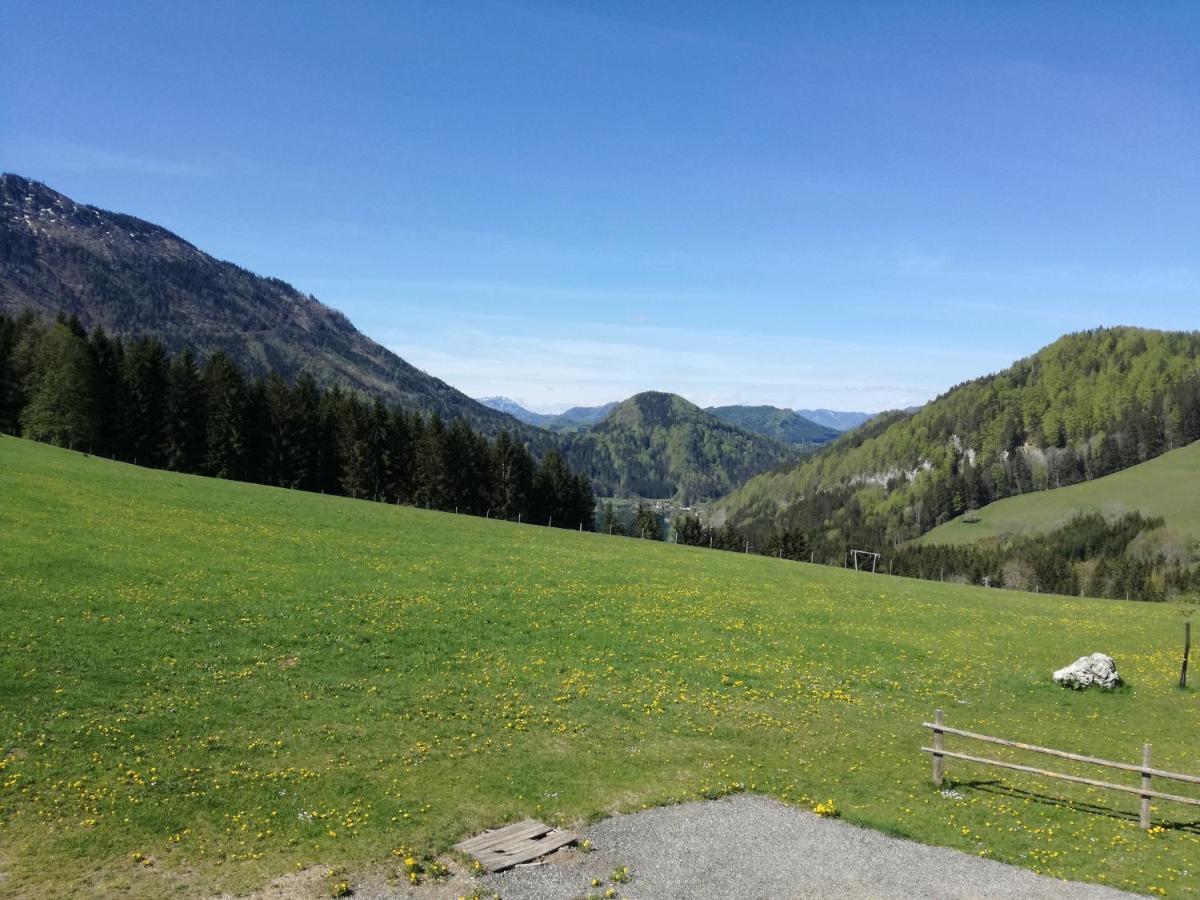 Bio Bauernhof Moas Villa Lunz am See Kültér fotó
