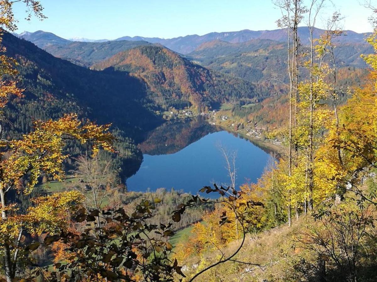Bio Bauernhof Moas Villa Lunz am See Kültér fotó